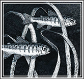 Jefferson County MRC home