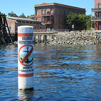 Voluntary No-Anchor Zones