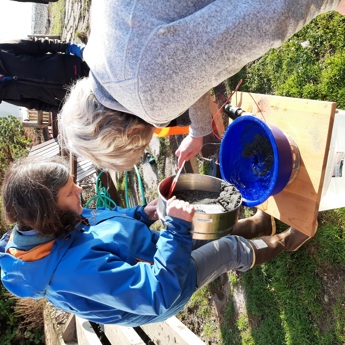 Forage Fish Spawning Surveys