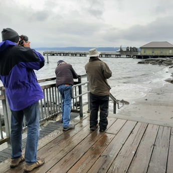 Storm Surge Monitoring
